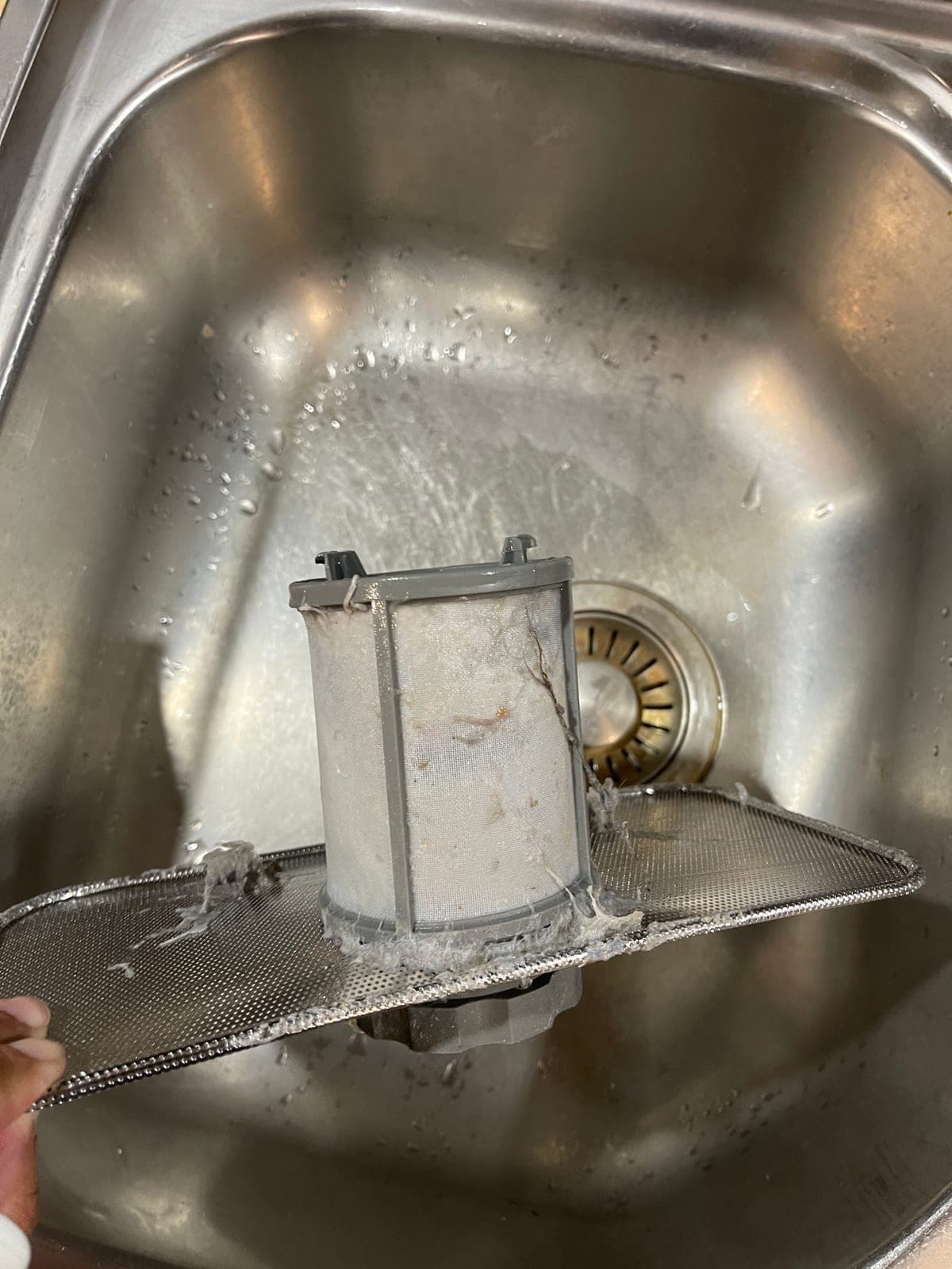 The complete filter assembly removed from a dishwasher tub.