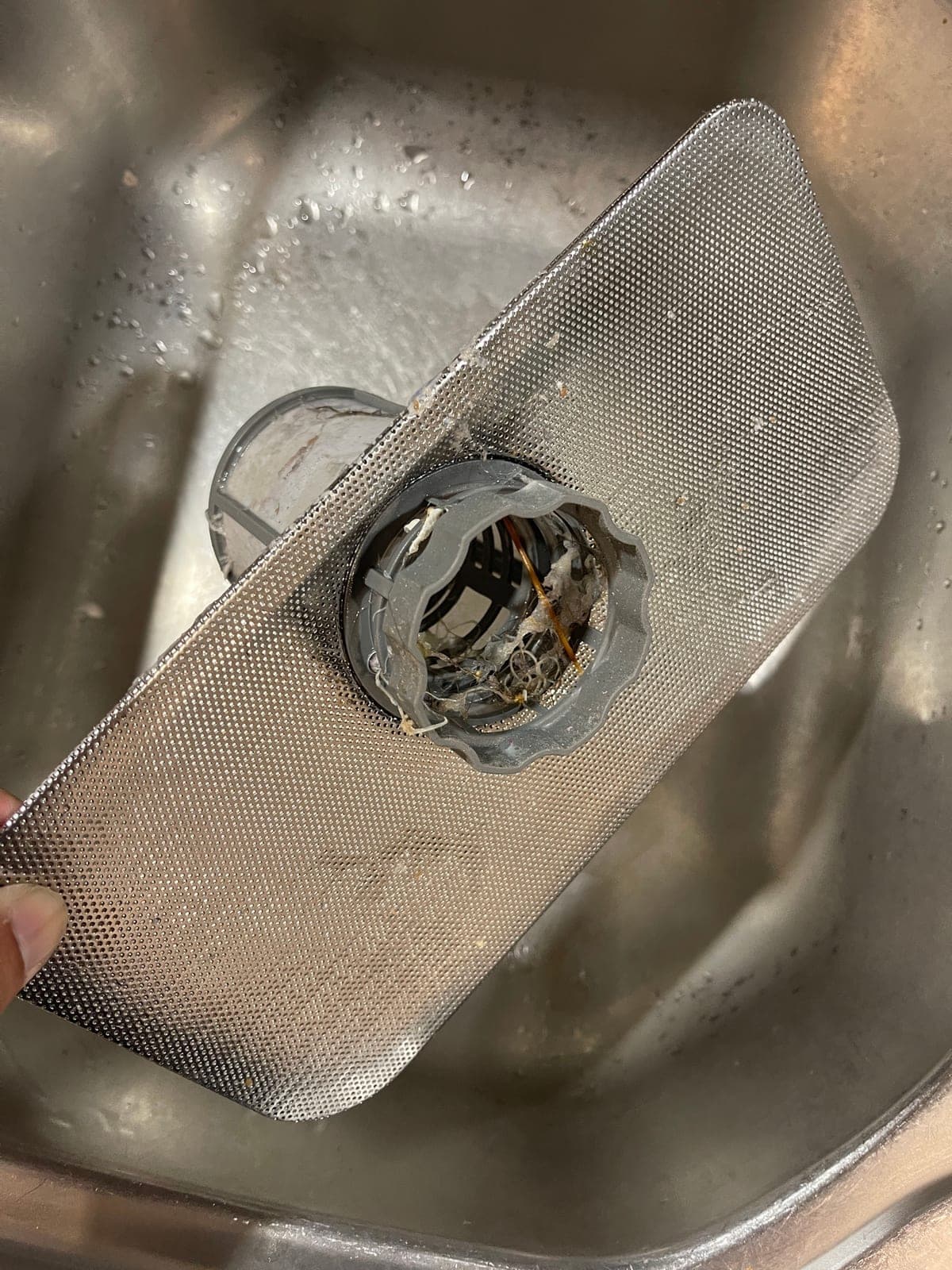 The flat mesh filter plate lifted out with debris still on it.