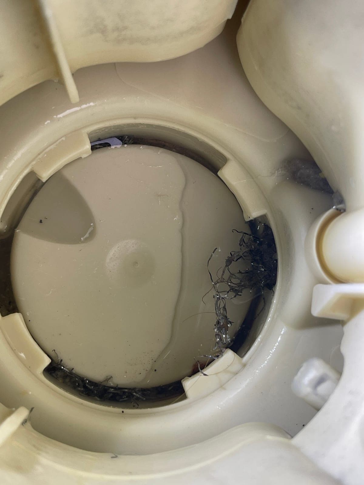 Fibrous debris wound around the impeller in a dishwasher pump housing.