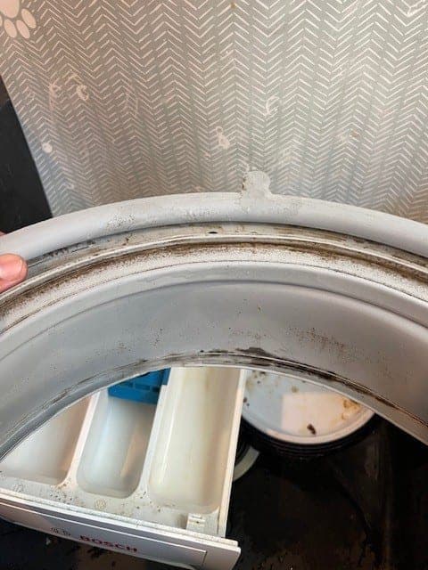 A washing machine door seal with mould in the rubber fold before replacement.