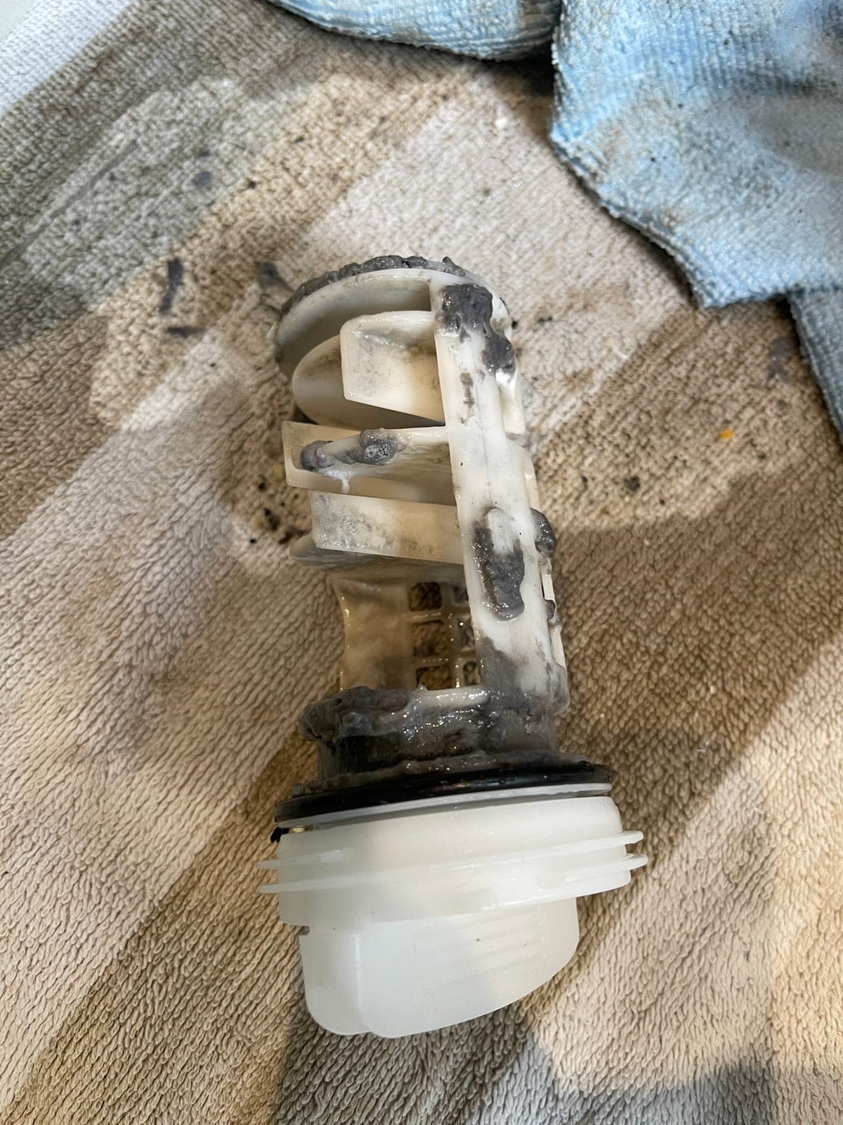 A washing machine pump filter removed and clogged with lint and grit.