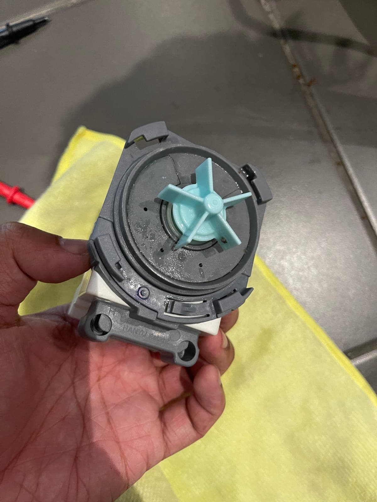 A drain pump removed from a washing machine, impeller visible.